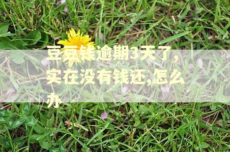 豆豆钱逾期3天了,实在没有钱还,怎么办