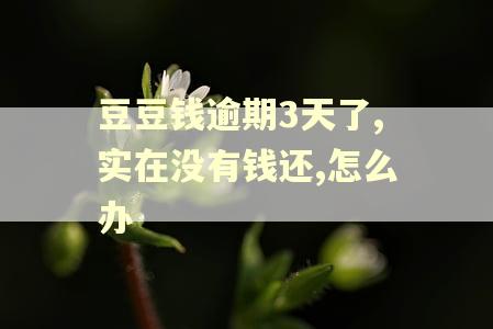 豆豆钱逾期3天了,实在没有钱还,怎么办