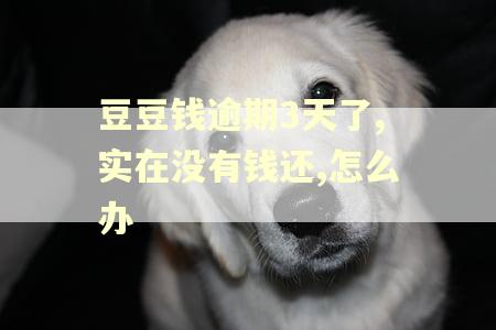 豆豆钱逾期3天了,实在没有钱还,怎么办