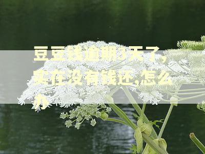 豆豆钱逾期3天了,实在没有钱还,怎么办 豆豆钱逾期3天了,实在没有钱还,怎么办