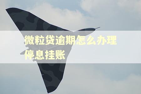 微粒贷逾期怎么办理停息挂账