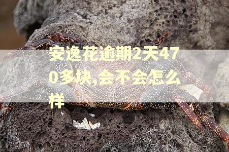 安逸花逾期2天470多块,会不会怎么样