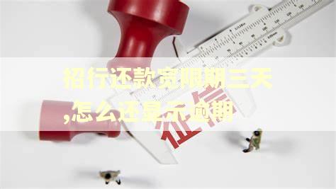 招行还款宽限期三天,怎么还显示逾期