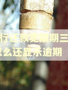 招行还款宽限期三天,怎么还显示逾期