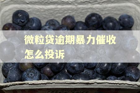 微粒贷逾期暴力催收怎么投诉