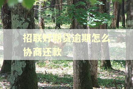 招联好期贷逾期怎么协商还款