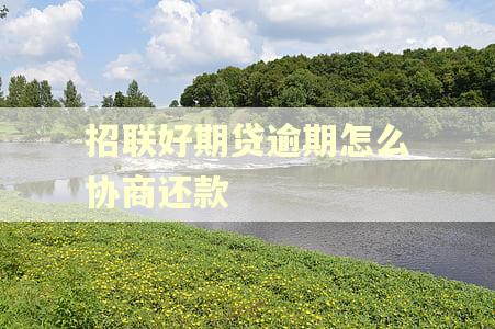 招联好期贷逾期怎么协商还款