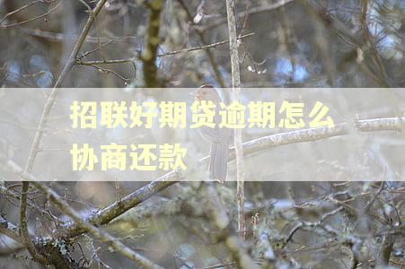 招联好期贷逾期怎么协商还款 招联好期贷逾期怎么协商还款