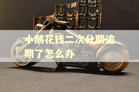 小鹅花钱二次分期逾期了怎么办