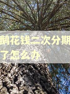 小鹅花钱二次分期逾期了怎么办
