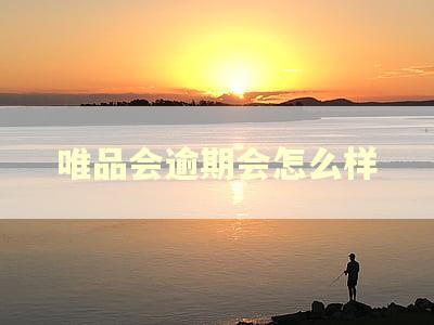 唯品会逾期会怎么样