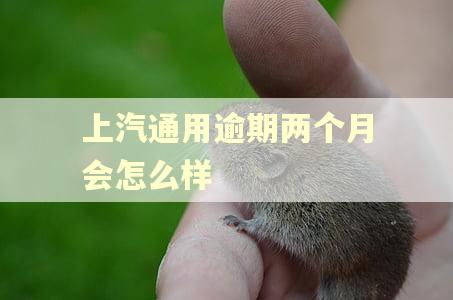 上汽通用逾期两个月会怎么样
