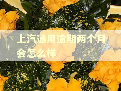 上汽通用逾期两个月会怎么样