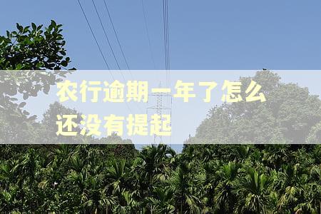 农行逾期一年了怎么还没有提起