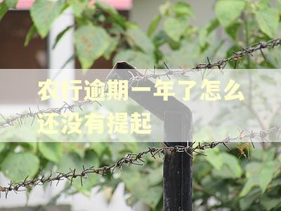 农行逾期一年了怎么还没有提起