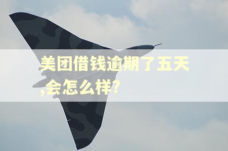 美团借钱逾期了五天,会怎么样?