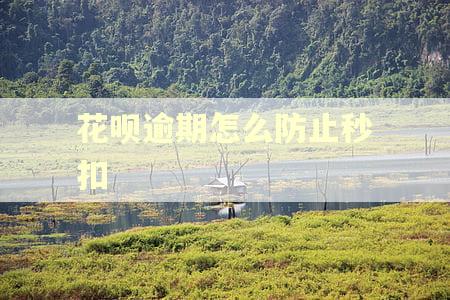 花呗逾期怎么防止秒扣