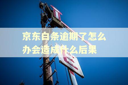 京东白条逾期了怎么办会造成什么后果 京东白条逾期了怎么办会造成什么后果