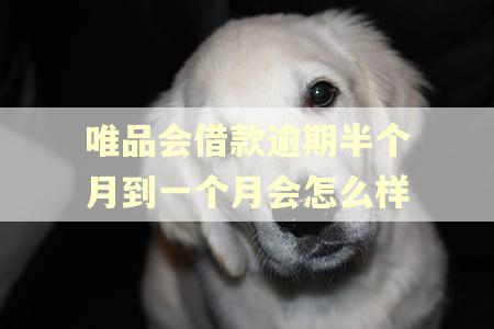 唯品会借款逾期半个月到一个月会怎么样