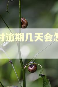 分付逾期几天会怎么样