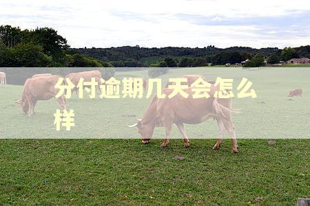 分付逾期几天会怎么样