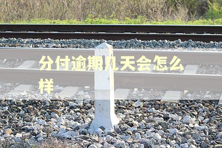 分付逾期几天会怎么样