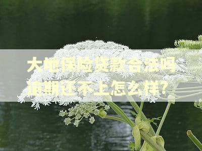 大地保险贷款合法吗逾期还不上怎么样? 大地保险贷款合法吗逾期还不上怎么样?