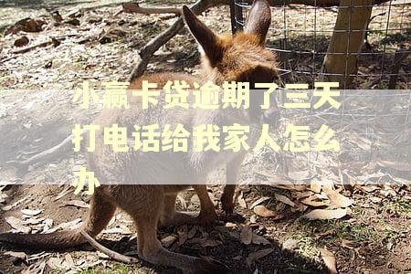 小赢卡贷逾期了三天打电话给我家人怎么办