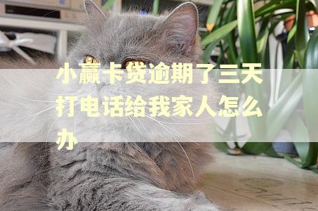 小赢卡贷逾期了三天打电话给我家人怎么办