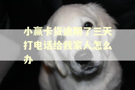 小赢卡贷逾期了三天打电话给我家人怎么办