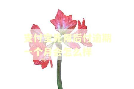 支付宝先用后付逾期一个月会怎么样
