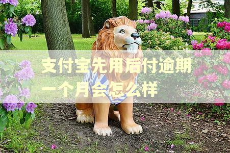 支付宝先用后付逾期一个月会怎么样