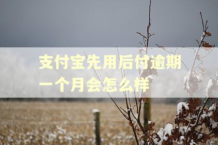 支付宝先用后付逾期一个月会怎么样