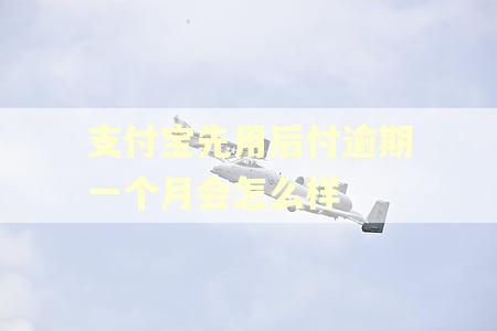 支付宝先用后付逾期一个月会怎么样 支付宝先用后付逾期一个月会怎么样