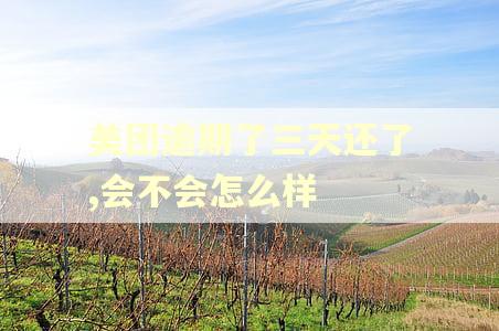 美团逾期了三天还了,会不会怎么样