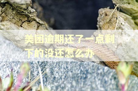 美团逾期还了一点剩下的没还怎么办