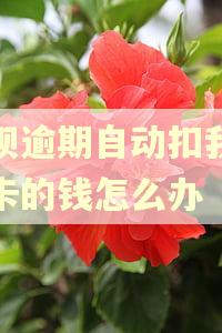 花呗逾期自动扣我银行卡的钱怎么办