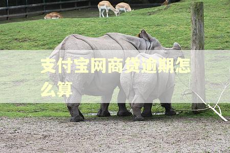 支付宝网商贷逾期怎么算