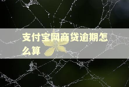 支付宝网商贷逾期怎么算