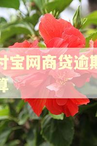 支付宝网商贷逾期怎么算