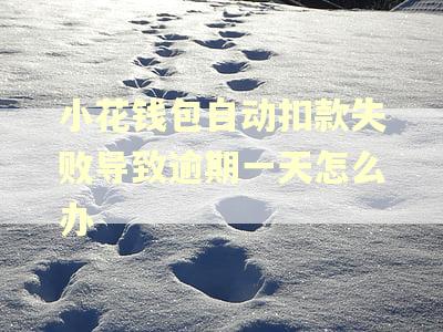 小花钱包自动扣款失败导致逾期一天怎么办