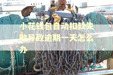 小花钱包自动扣款失败导致逾期一天怎么办
