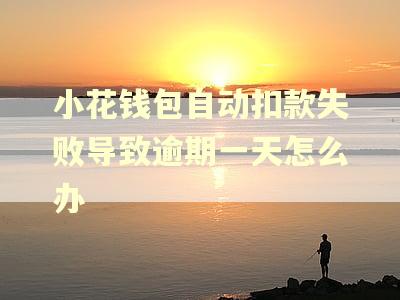 小花钱包自动扣款失败导致逾期一天怎么办