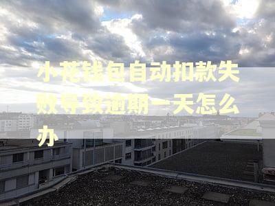 小花钱包自动扣款失败导致逾期一天怎么办