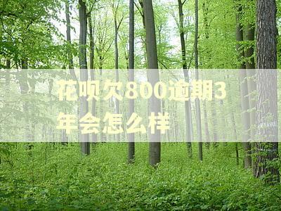 花呗欠800逾期3年会怎么样