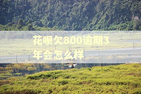 花呗欠800逾期3年会怎么样 花呗欠800逾期3年会怎么样
