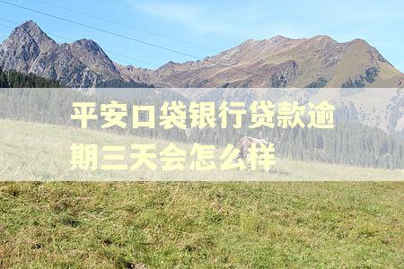 平安口袋银行贷款逾期三天会怎么样