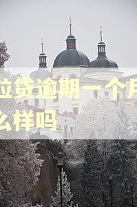 微粒贷逾期一个月会怎么样吗