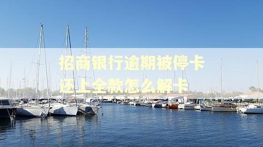 招商银行逾期被停卡还上全款怎么解卡