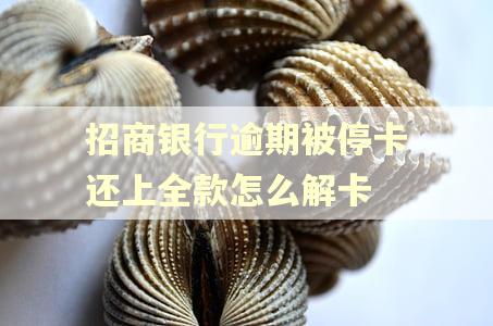 招商银行逾期被停卡还上全款怎么解卡